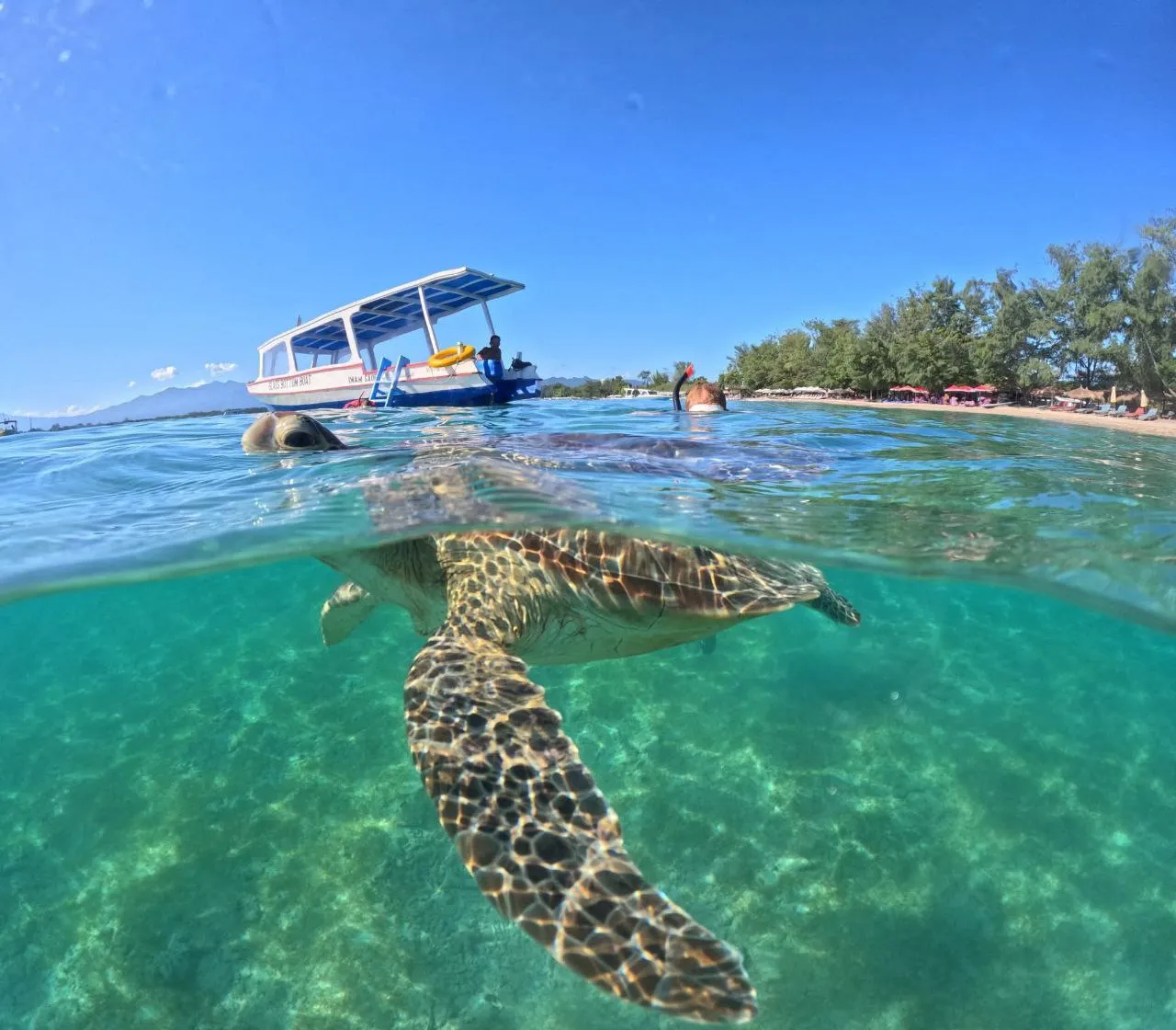 Three beautiful tropical islands with white sandy beaches and palm trees