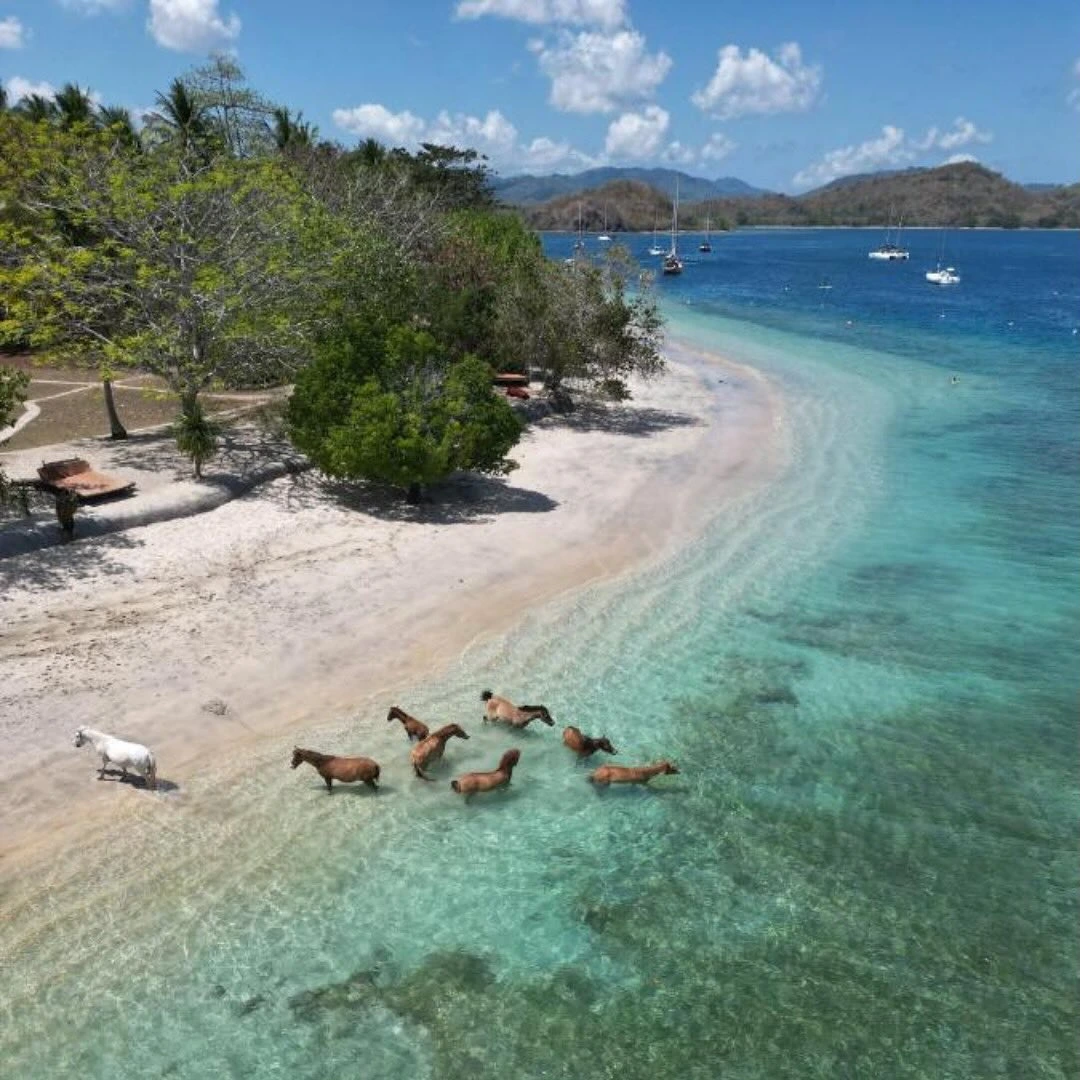 Secret Island Snorkeling Trip