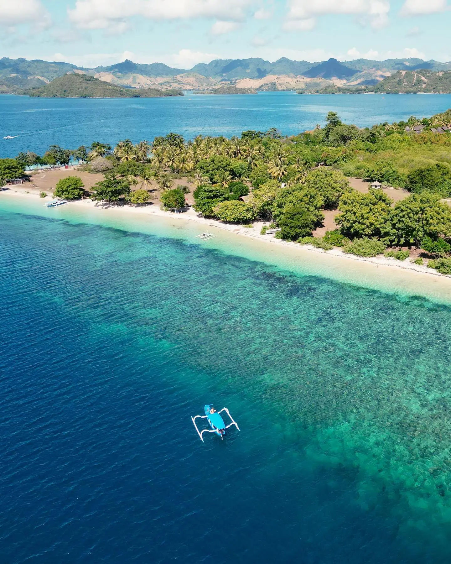 Snorkeling with a sea turtle near Gili Renggit