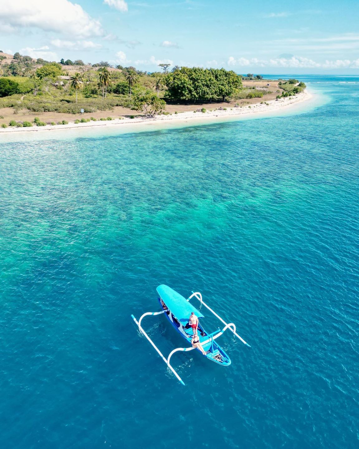 A green sea turtle swims gracefully at Gili Renggit