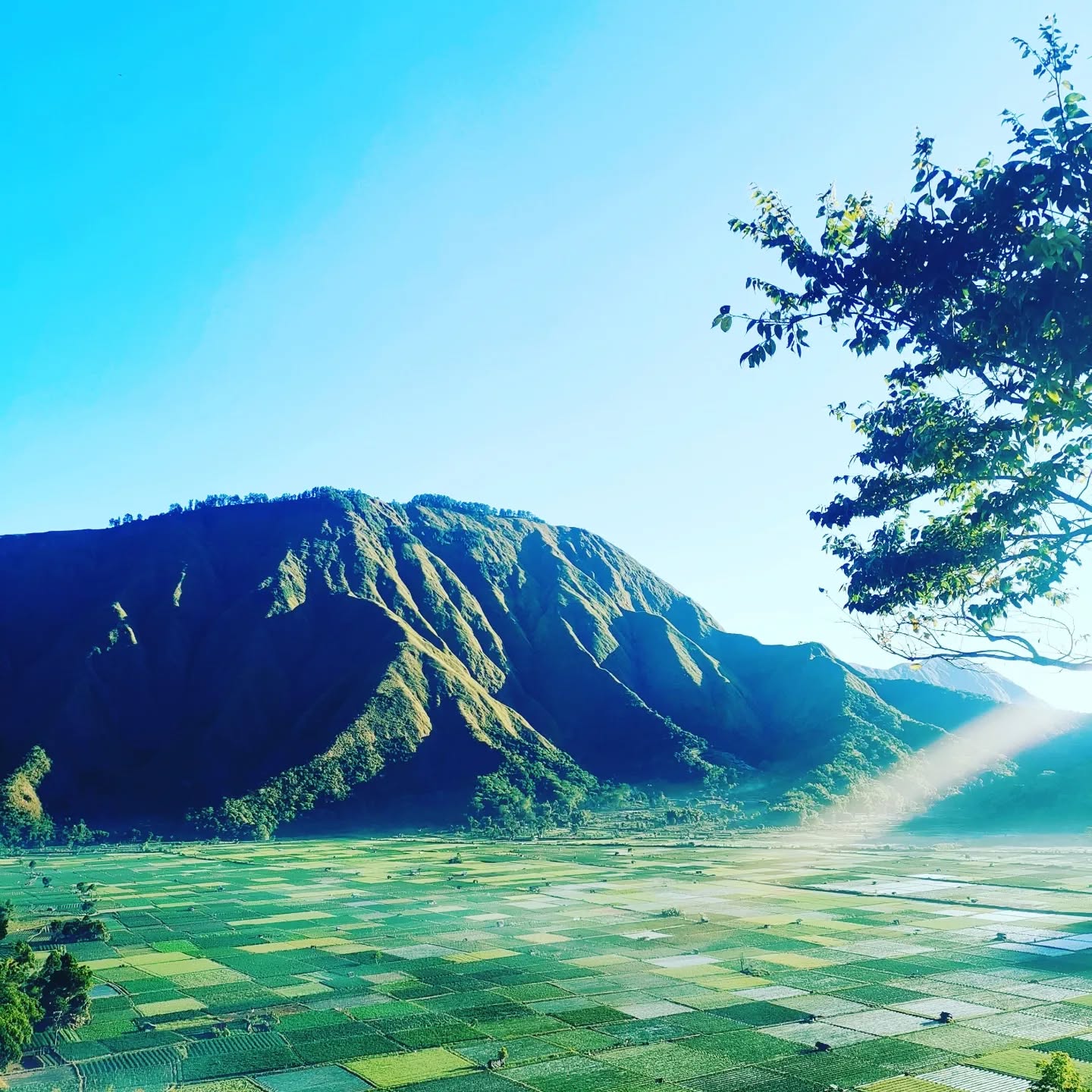 Trekking through the lush rainforest of North Lombok