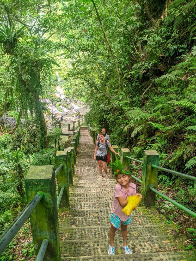 Trekking through the jungle to the waterfalls